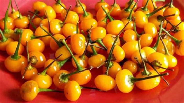 Are aji peppers hot?