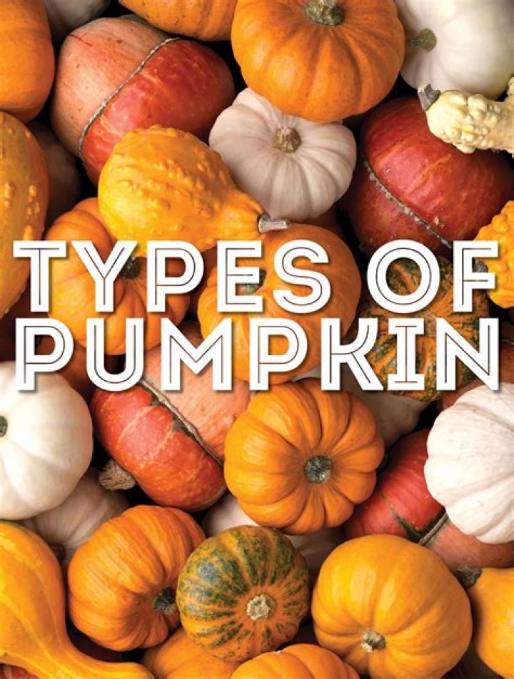 Are all varieties of pumpkins edible?