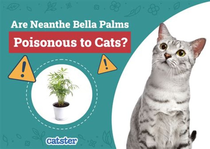 Are any palms poisonous to cats?