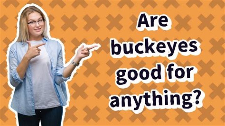 Are Buckeyes good for anything?