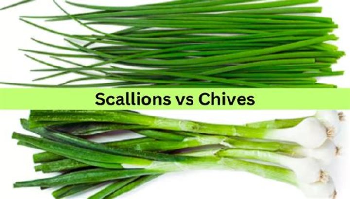 Are chives and scallions the same thing?
