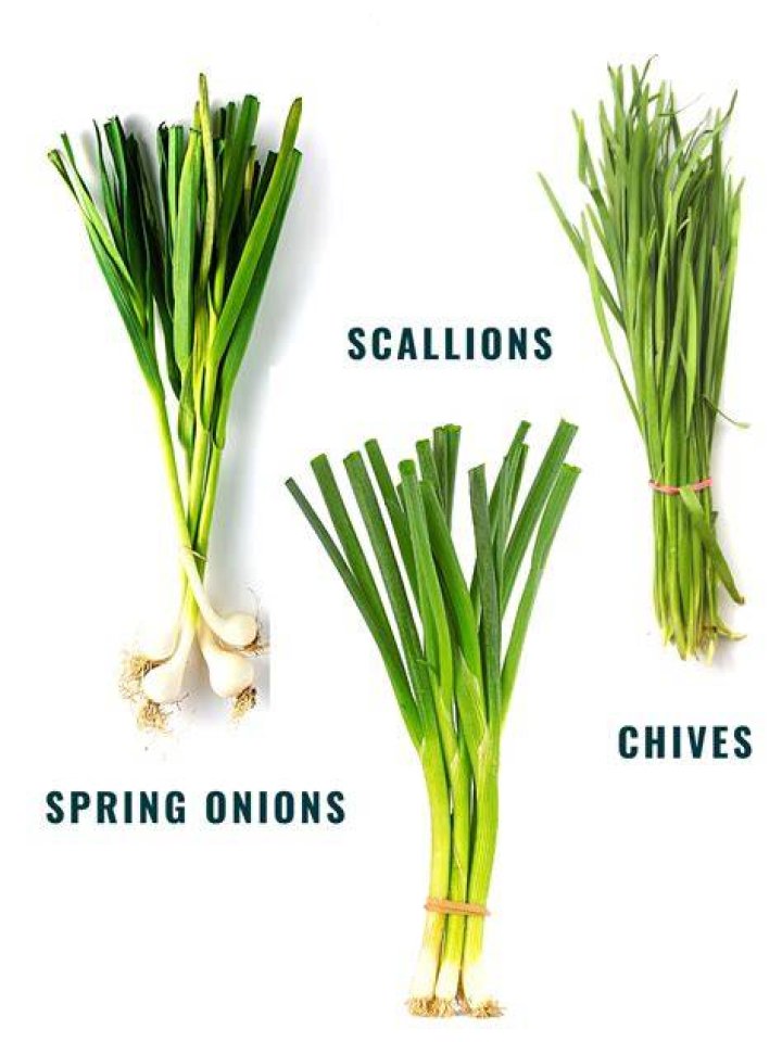Are Chives and scallions the same?