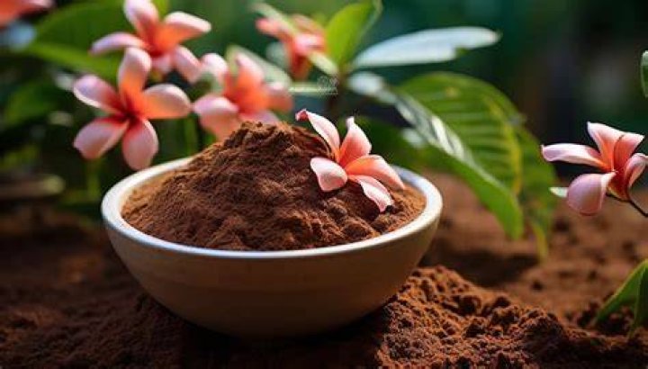 Are coffee grounds good for Plumeria?