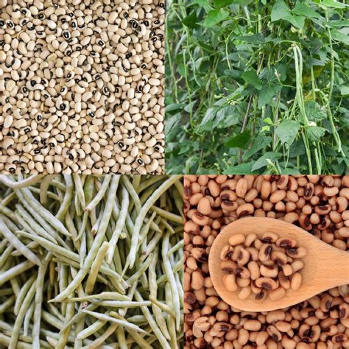 Are crowder peas and black eyed peas the same thing?