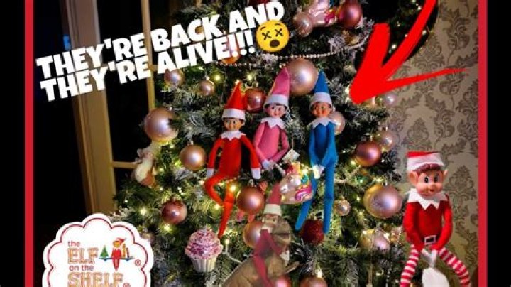 Are elves on the shelf alive?