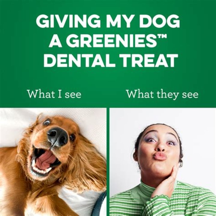 Are Greenies digestible?