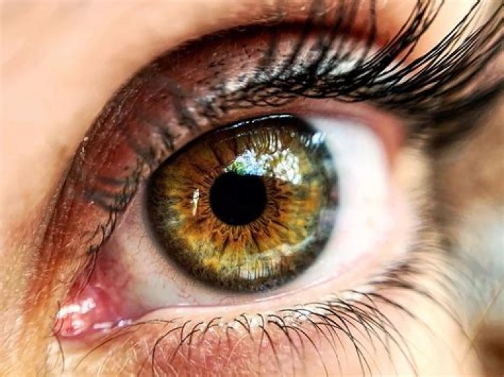 Are hazel eyes attractive?