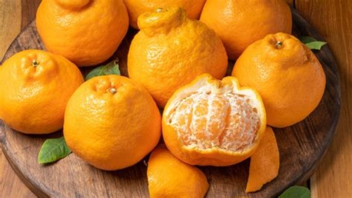 Are honeybells and sumo oranges the same thing?