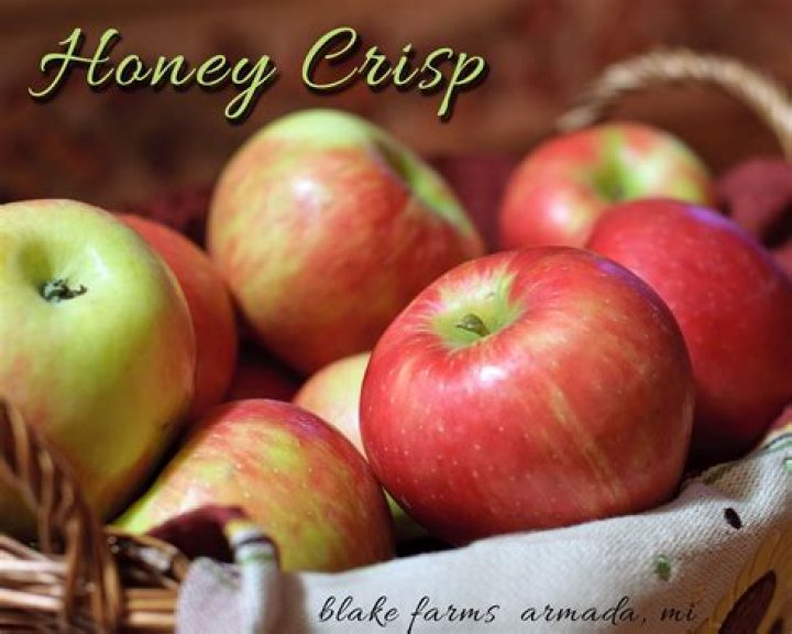 Are Honeycrisp apples good for you?