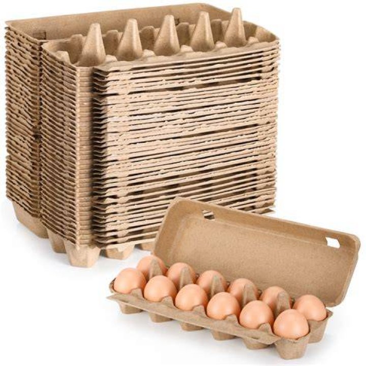 Are Jack in the Box Eggs real?