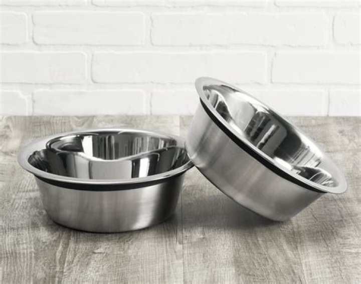 Are metal bowls safe for dogs?
