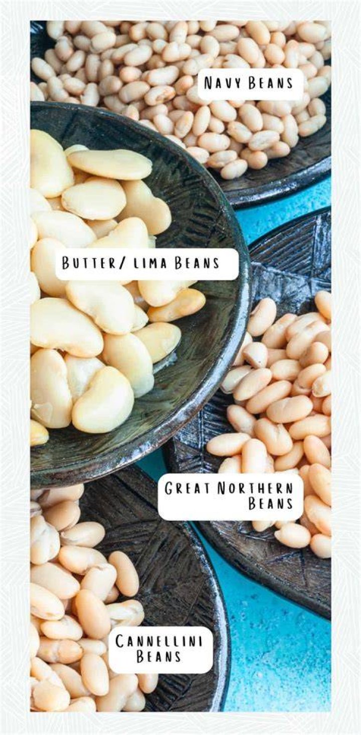 Are pinto beans the same as Northern beans?