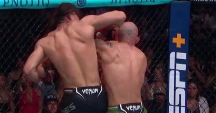 Are rabbit punches illegal in UFC?