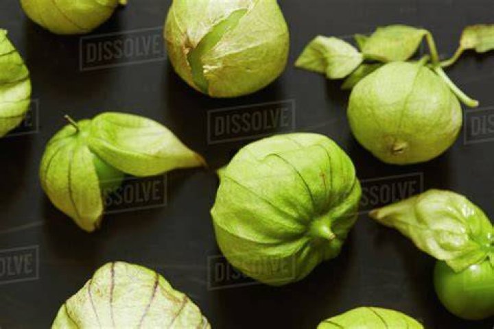 Are raw tomatillos toxic?
