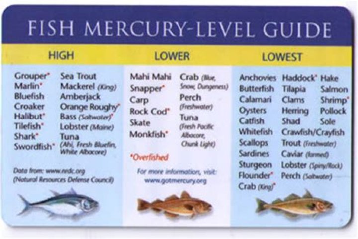 Are redfish high in mercury?