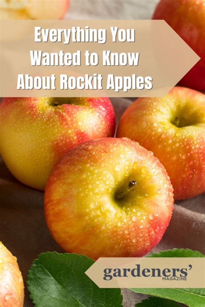Are Rockit apples good for you?
