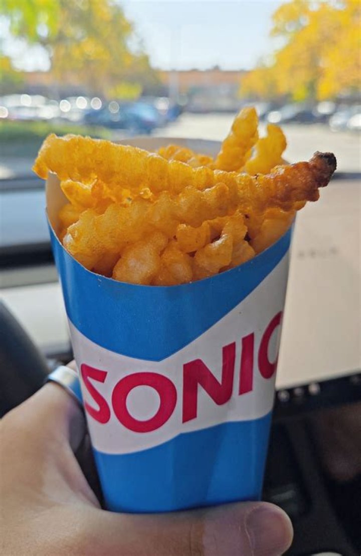 Are Sonic fries good?