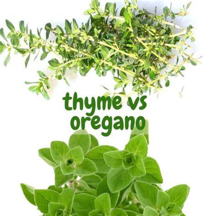 Are Sprouts and fresh thyme the same company?