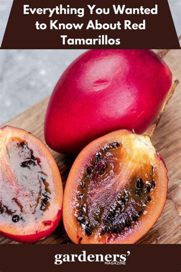 Are Tamarillos good for you?