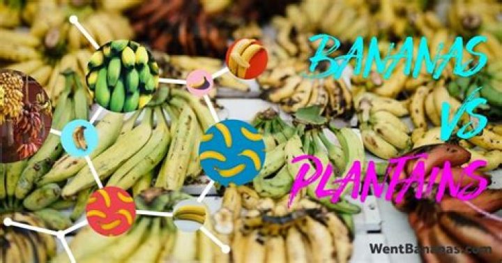 Are the black seeds in bananas poisonous?