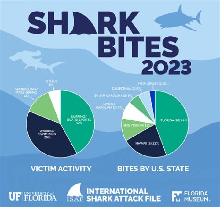 Are there shark attacks in Cancun?