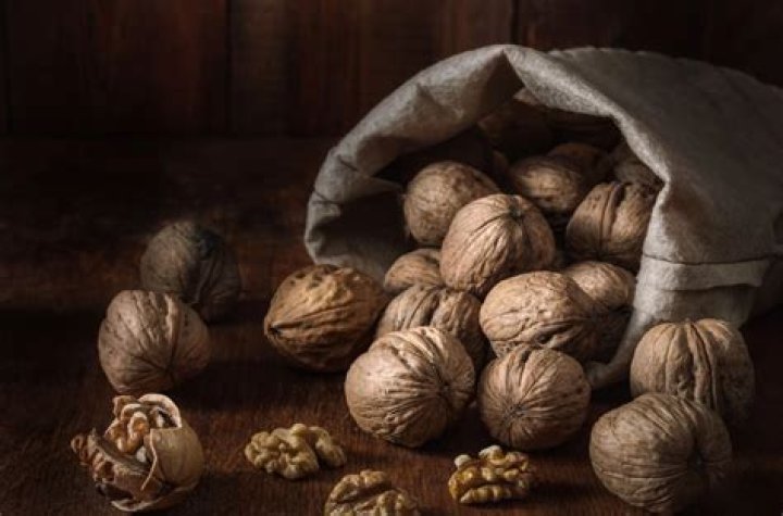 Are walnuts profitable?