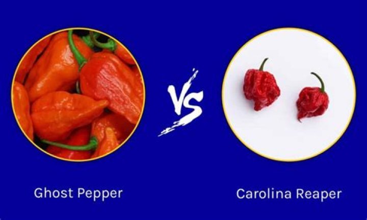 Can a ghost pepper kill you?