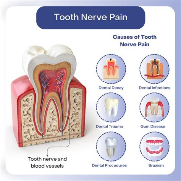 Can a tooth nerve heal itself?