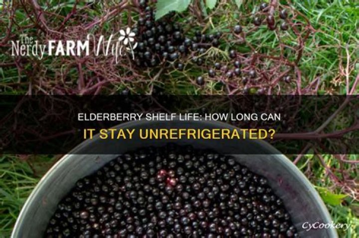 Can berries stay unrefrigerated?