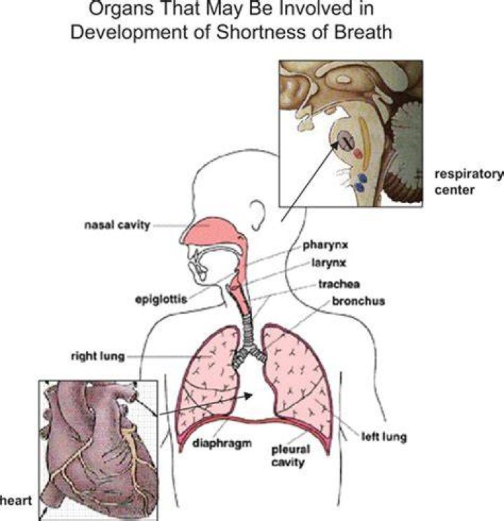 Can blood thinners cause shortness of breath?