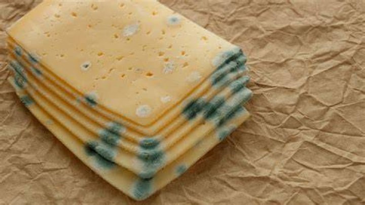 Can blue cheese be frozen and used later?