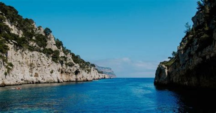 Can Cassis go bad?