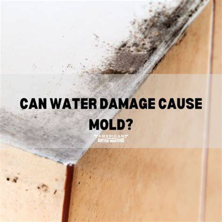 Can DampRid cause mold?