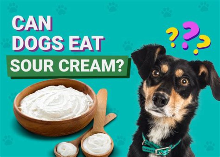 Can dogs eat sour cream and chive?