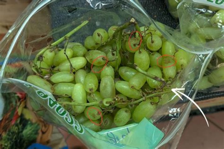 Can grapes go bad in the fridge?