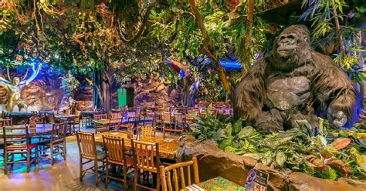 Can I bring a cake to Rainforest Cafe?
