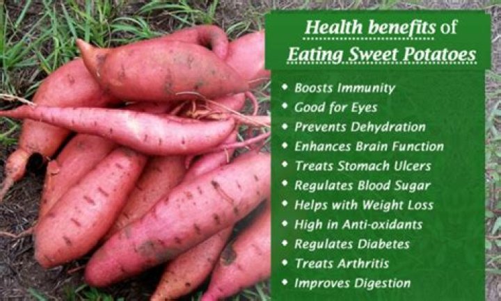 Can I eat sweet potato everyday?