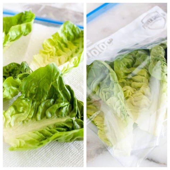 Can I freeze lettuce?