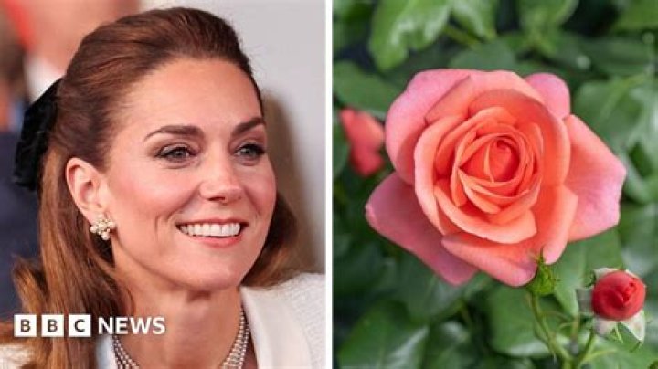 Can I get a rose named after someone?