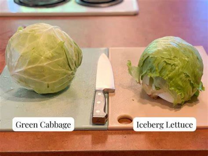 Can I use cabbage instead of lettuce?