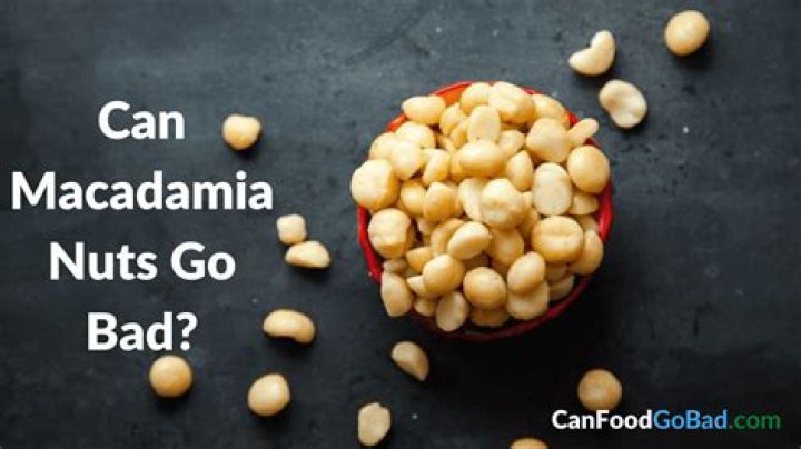Can macadamia nuts go bad?