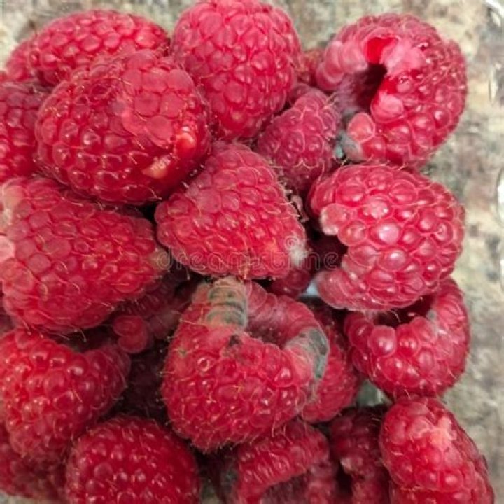 Can mold on raspberries make you sick?