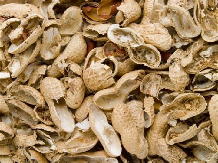 Can peanut shells go into compost?