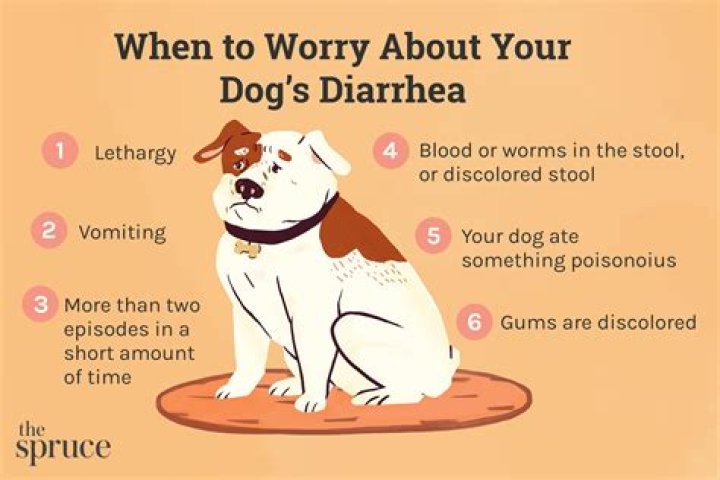 Can pretzels give dogs diarrhea?