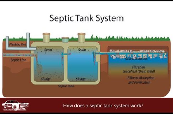 Can tampons ruin a septic system?