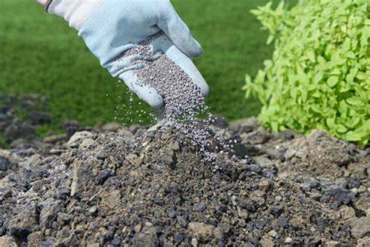 Can you apply gypsum and fertilizer together?