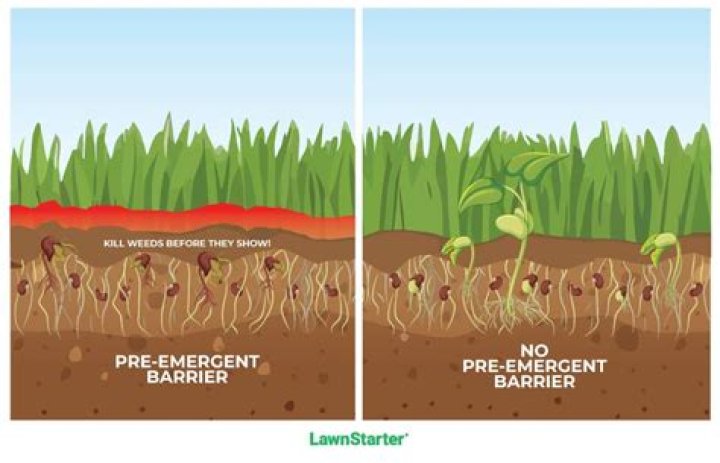 Can you apply pre-emergent and post-emergent at the same time?
