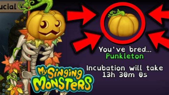 Can you breed a Punkleton?