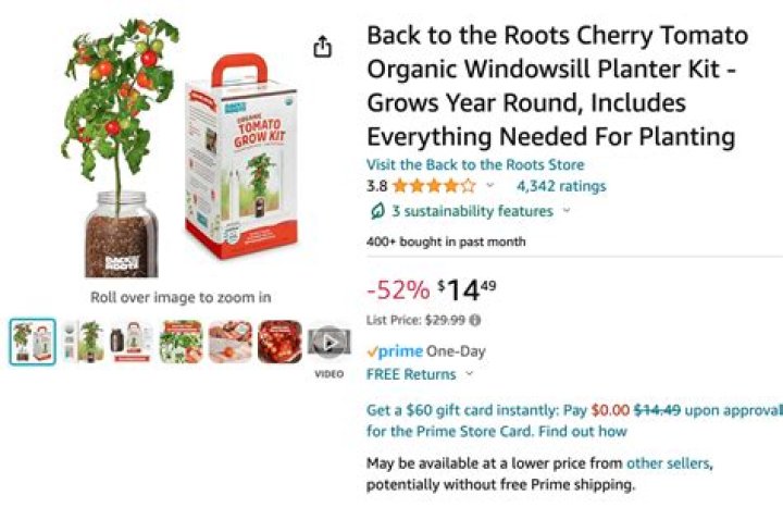 Can you buy seeds on Amazon with EBT?