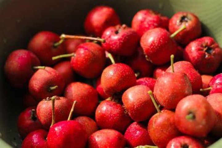 Can you eat mayhaw berries?